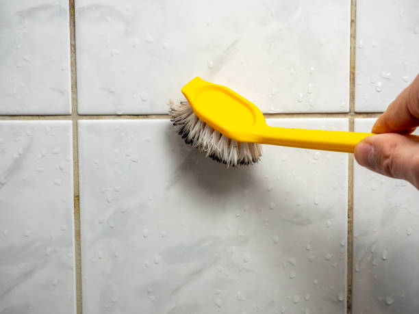 Best Insurance-Related Mold Remediation in Greensboro, AL