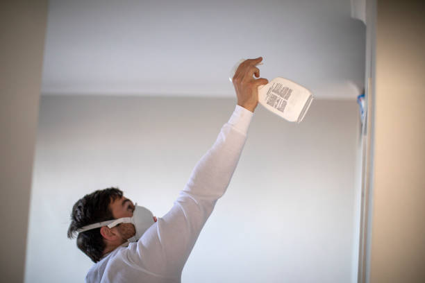 Best Commercial Mold Remediation in Greensboro, AL